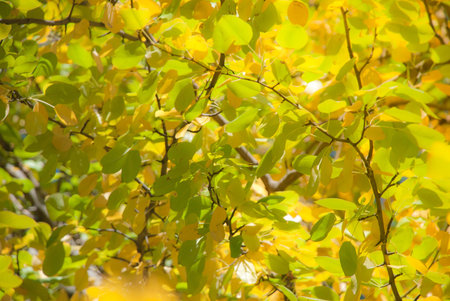 Arrayの写真素材