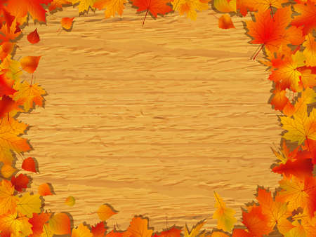 Autumn background with colored leaves on wooden board. の写真素材