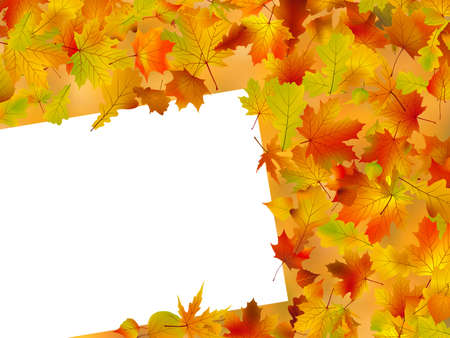 Image and Illustration composition for Thanksgiving invitation border or background with copy space.の写真素材