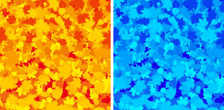Autumn colorful maple leaves. EPS8 の写真素材