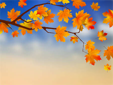 Fall leaves in front of blue sky with clouds. EPS8の写真素材