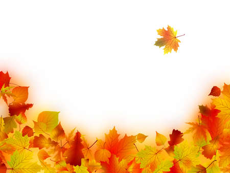 Decorative frame from bright autumn leaves. EPS8の写真素材