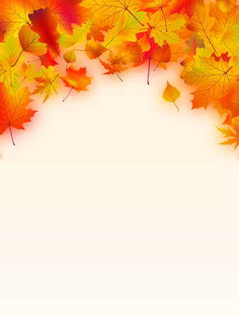 Vivid autumnal leaves frame for your text. EPS8 の写真素材