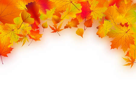 Fallen autumn leaves background. EPS8の写真素材