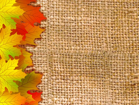 Thank you card on a bright autumn background of leavesの写真素材