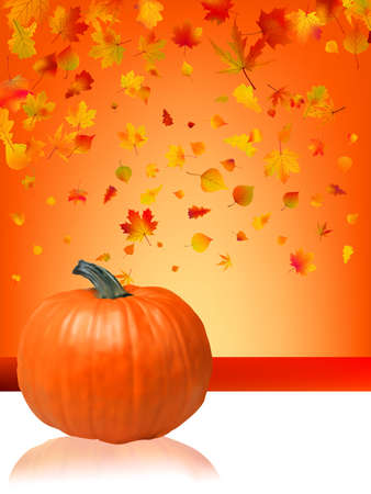 Autumn Pumpkins and leaves. EPS8の写真素材