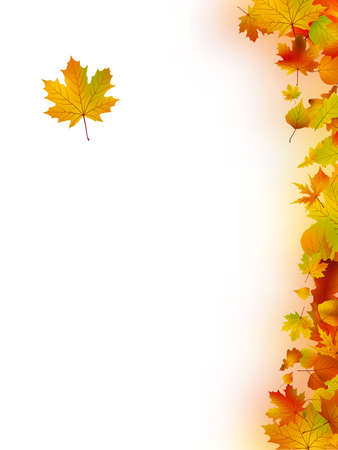 Decorative frame from bright autumn leaves. の写真素材