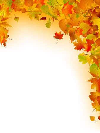 Multi-colored leaves on a white background.  のイラスト素材