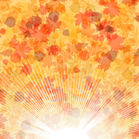 Autumn leaves background.  のイラスト素材