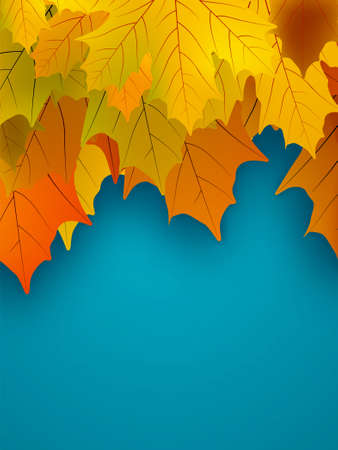 Orange fall maple foliage. EPS 8 vector file includedのイラスト素材