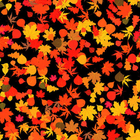 Autumn red bright leaves.  のイラスト素材