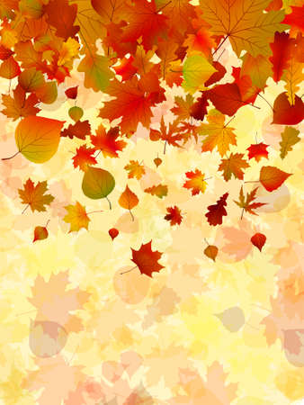 Autumn leaves background. のイラスト素材