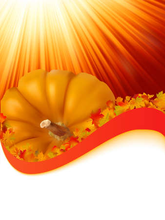 Abstract Classical autumn card with pumpkin and leafs.  の写真素材