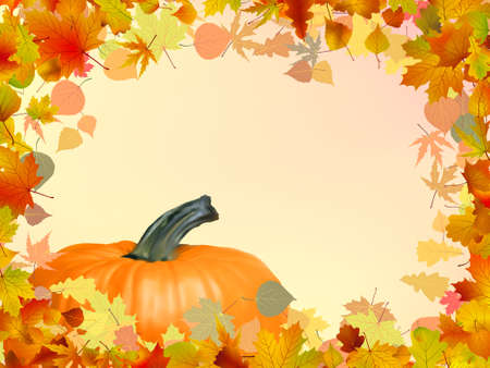 Colorful autumn card template leaves with Pumpkin and copy space. EPS 8 vector file includedのイラスト素材