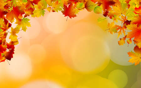 Autumn colored leaves framing large space for copy.のイラスト素材