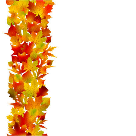 Multicolored autumn leaves of maple isolated on white background.のイラスト素材