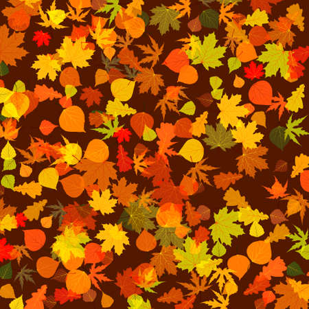 Autumn leaves, bright background.のイラスト素材