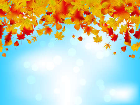 Autumn leaves on blue sky. Seasonal background.のイラスト素材