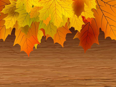 Fall coloured leaves making a border on a wooden background.のイラスト素材