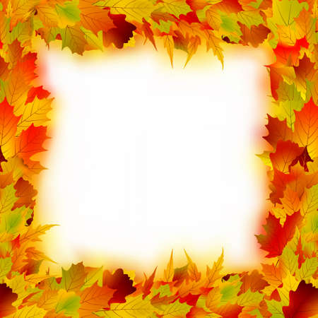 Multicolored maple leaves frame. の写真素材
