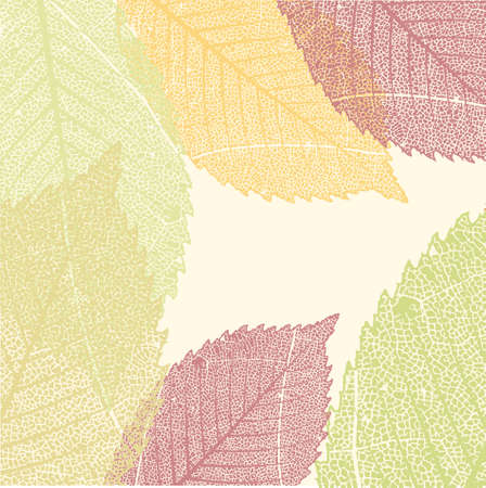 Autumn Leaves Pattern.のイラスト素材