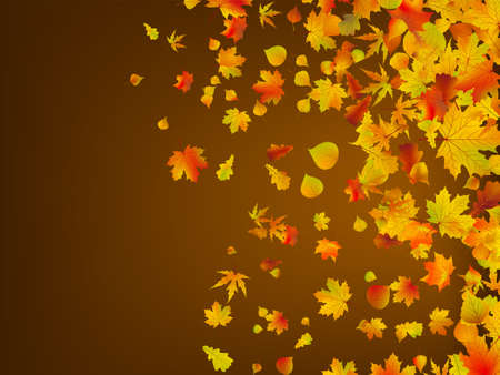 Fallen autumn leaves background. EPS 8 vector file includedのイラスト素材
