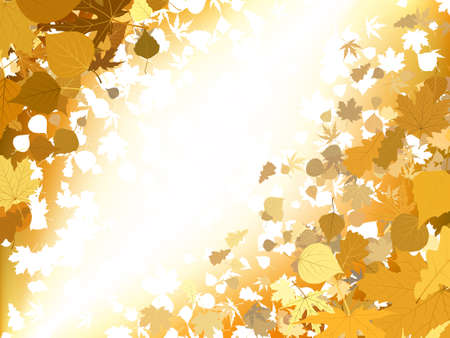 Autumn light background. EPS 8 vector file includedのイラスト素材