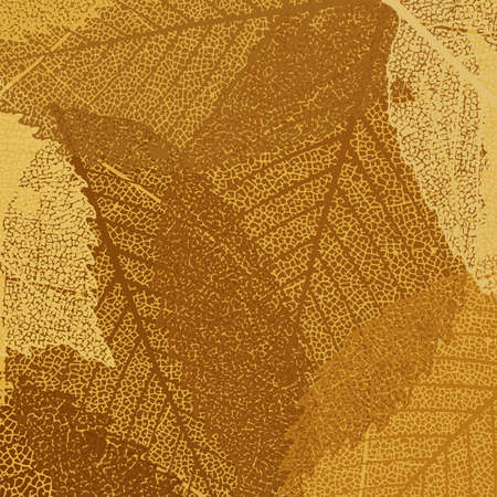 Dry autumn leaves template  EPS 8 vector file includedのイラスト素材