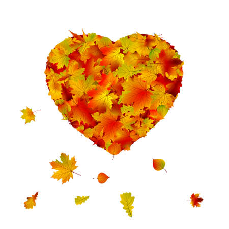 Heart shape made from autumn leaf  のイラスト素材