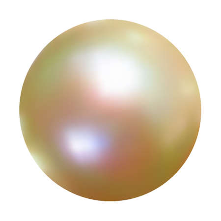 Vector White Pearl. のイラスト素材