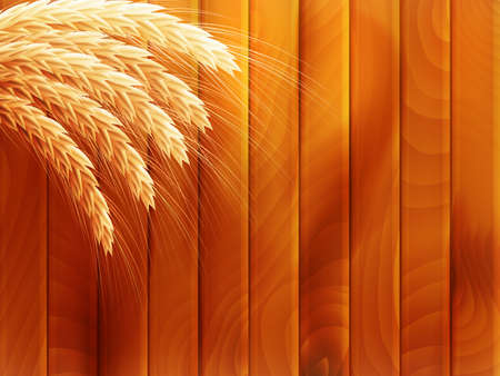 Wheat on wooden autumn background のイラスト素材