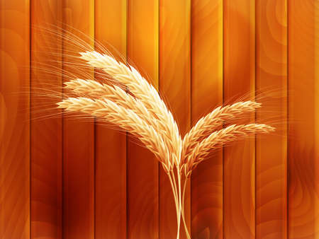 Wheat on wooden autumn background のイラスト素材
