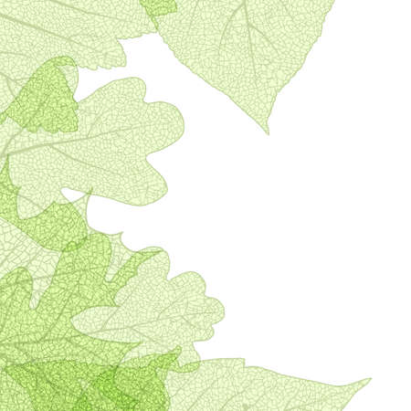 Leaf skeletons autumn tenplate with copyspace   のイラスト素材