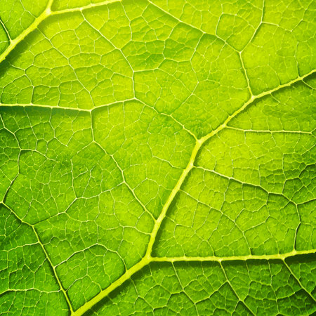 Vector green leaf macro background. EPS 10 vector file included