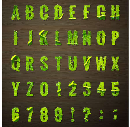 Vegetarian design - letters lettuce leaf. のイラスト素材