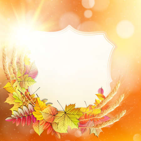 Autumn background with colorful leaves and place for text.   のイラスト素材