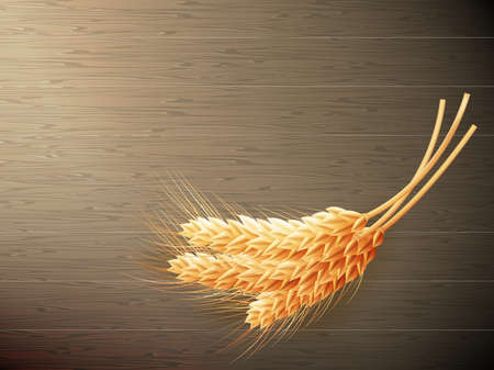 Wheat on wooden background. top view.  vector file includedのイラスト素材
