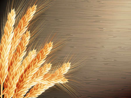 Wheat on wooden background.  vector file includedのイラスト素材