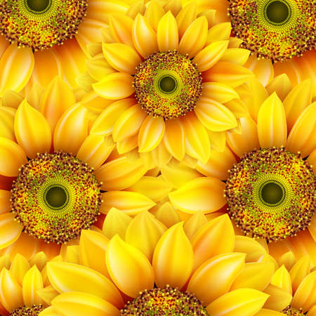 Sunflowers, realistic illustration. のイラスト素材