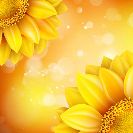 Macro SunFlower Background with bokeh.  のイラスト素材