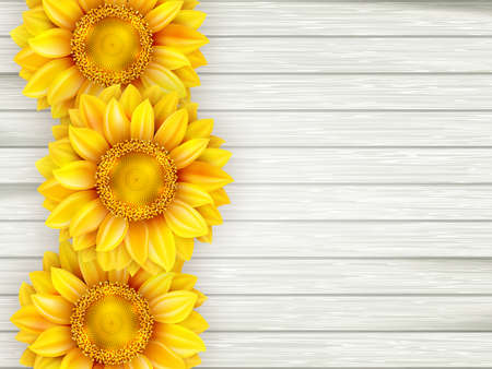 Ornamental sunflowers on wooden background.  のイラスト素材