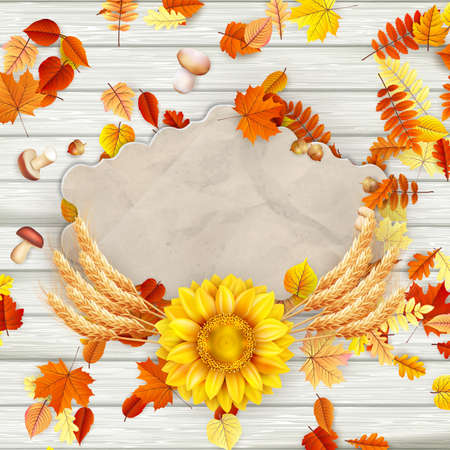 Autumn vintage greeting card on colorful leaves background copy space. のイラスト素材