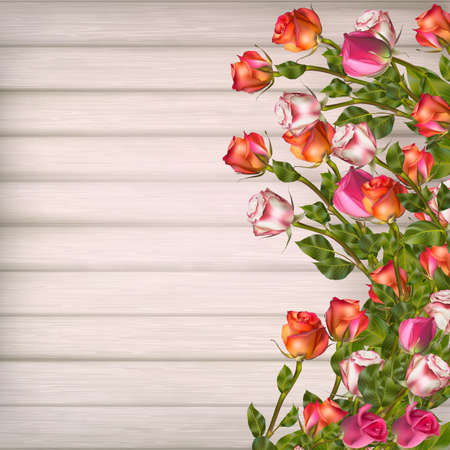 Greeting card with roses, can be used as invitation card for wedding, birthday and other holiday and summer background.のイラスト素材