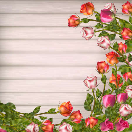 Greeting card with roses, can be used as invitation card for wedding, birthday and other holiday and summer background. のイラスト素材