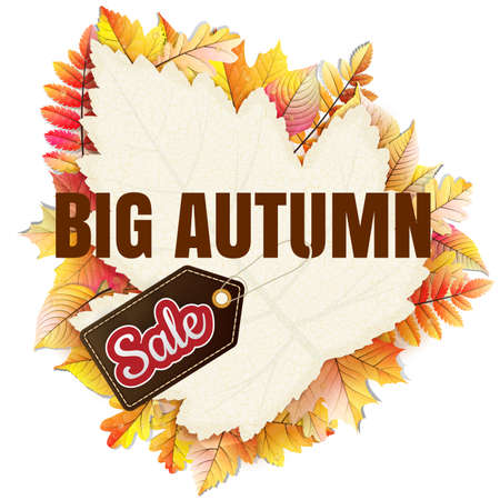 Autumnal frame in the shape of fallen leaf Big Sale. EPS 10 vector file includedのイラスト素材