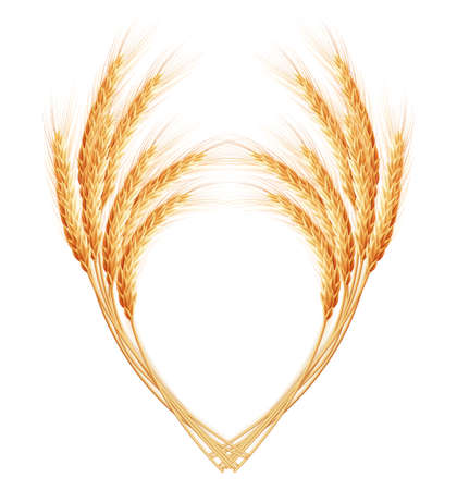 Wheat ears with space for text. EPS 10 vector file includedのイラスト素材