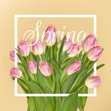 Spring text with tulip flower. EPS 10 vector file includedのイラスト素材