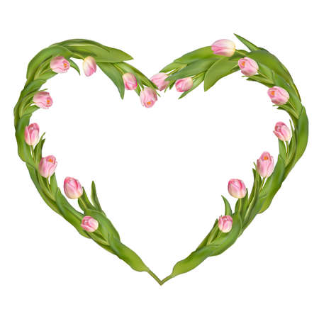 Idea for Valentine s day. Heart from tulips on a white background.のイラスト素材
