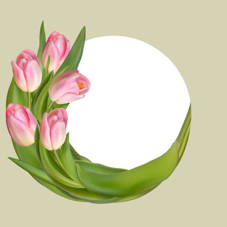 Flower tulip background. Floral frame with pink spring flowers.のイラスト素材