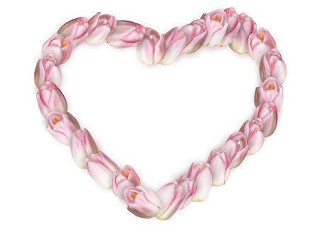 Heart shaped tulip frame with pink spring flowers isolated on white background for seasonal adverisment concepts.のイラスト素材